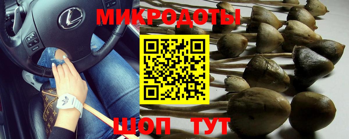 Псилоцибиновые грибы мицелий Тавда
